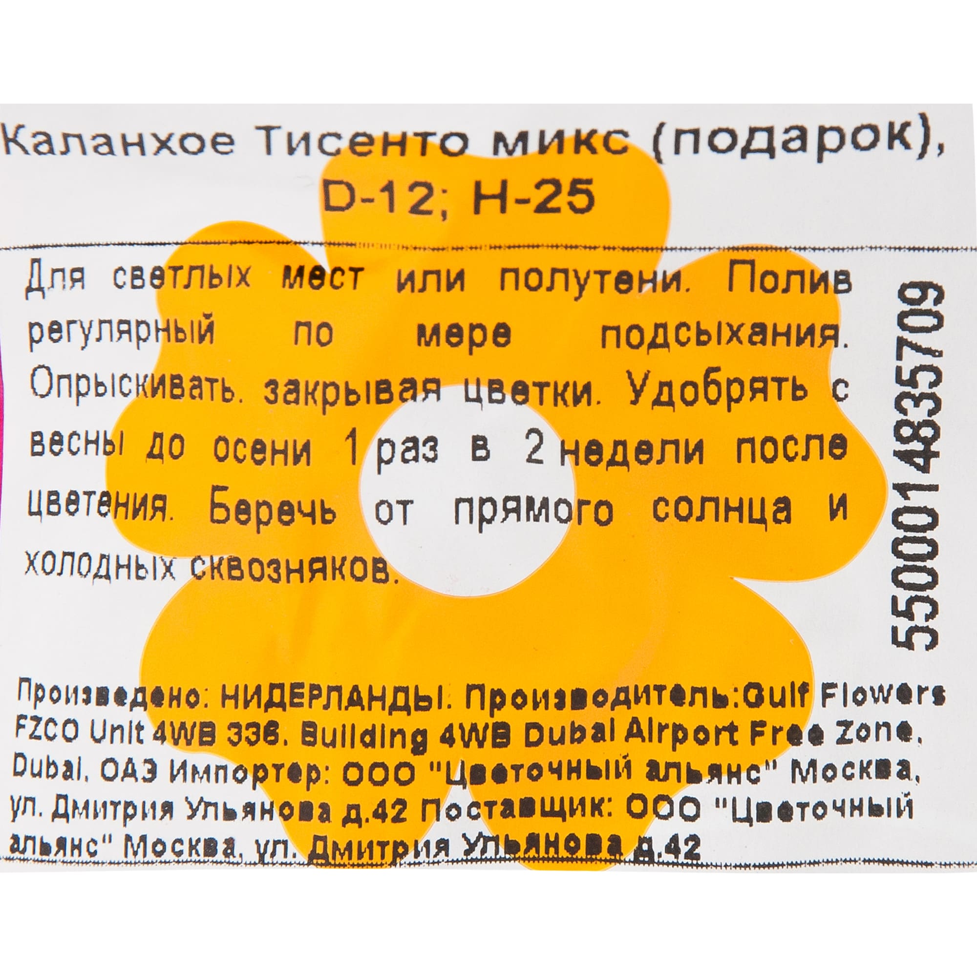 84450732 Каланхое Тисенто микс в подарочной упаковке ø12 h25 см Santreyd  - Вид №2