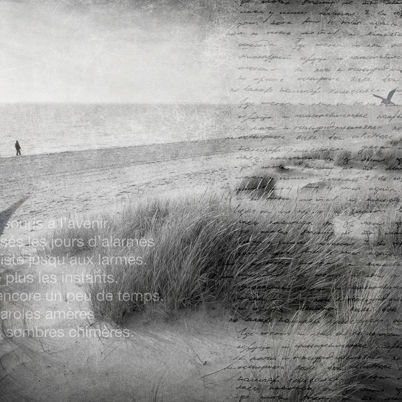 WP02006A Обои декоративные Adriani e Rossi 