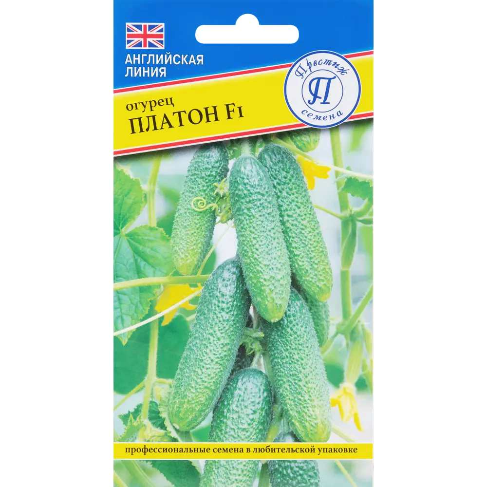 Семена огурца «Платон» F1 от Престиж Семена - ранний партенокарпический гибрид 83227212 STLM-0039511