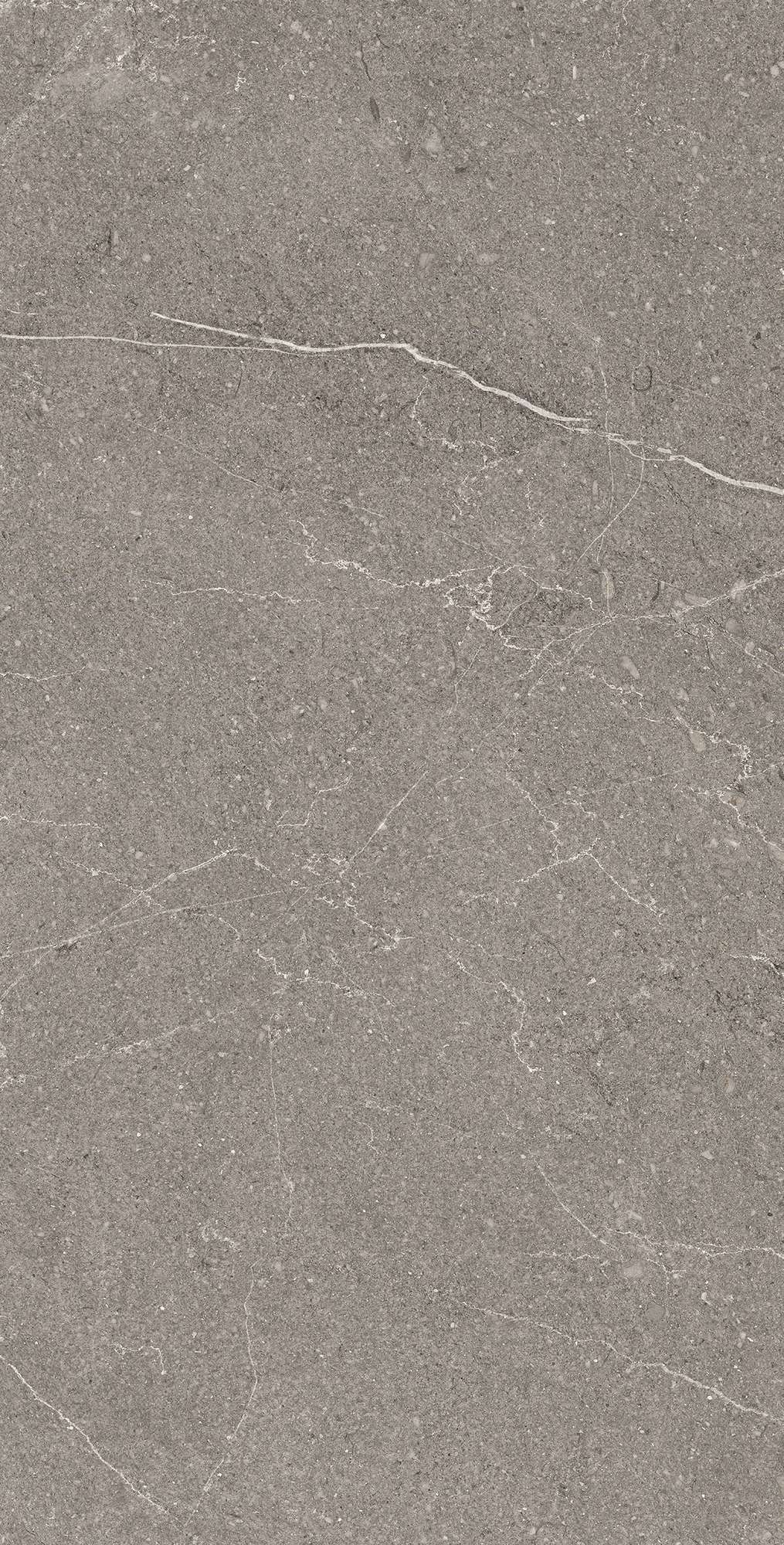 EQUISTONE GRAPHITE ARCADIA CERAMICA RG6002-A - Вид №1