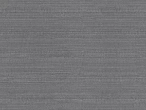 COLORISTICA 2584-62 Портьерная ткань  Лён  City