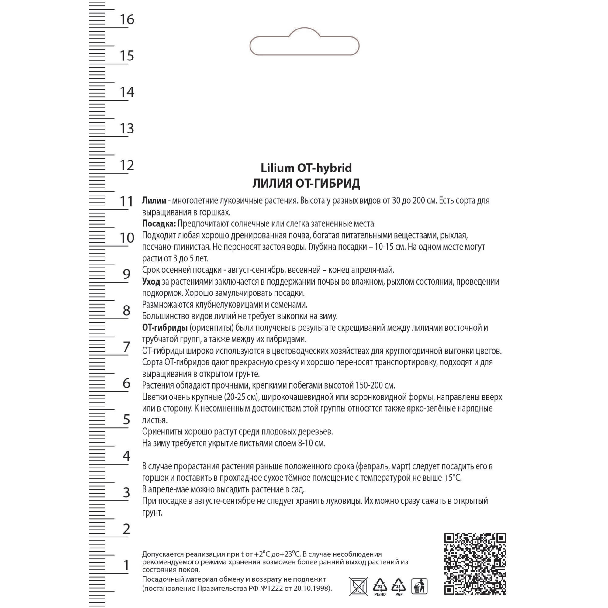 82530229 Лилии ОТ-Гибриды Пёпл Принц Santreyd  - Вид №1