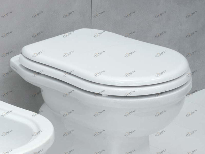 Крышка сиденье для унитаза Ceramica Flaminia Efi sun-id-1394801