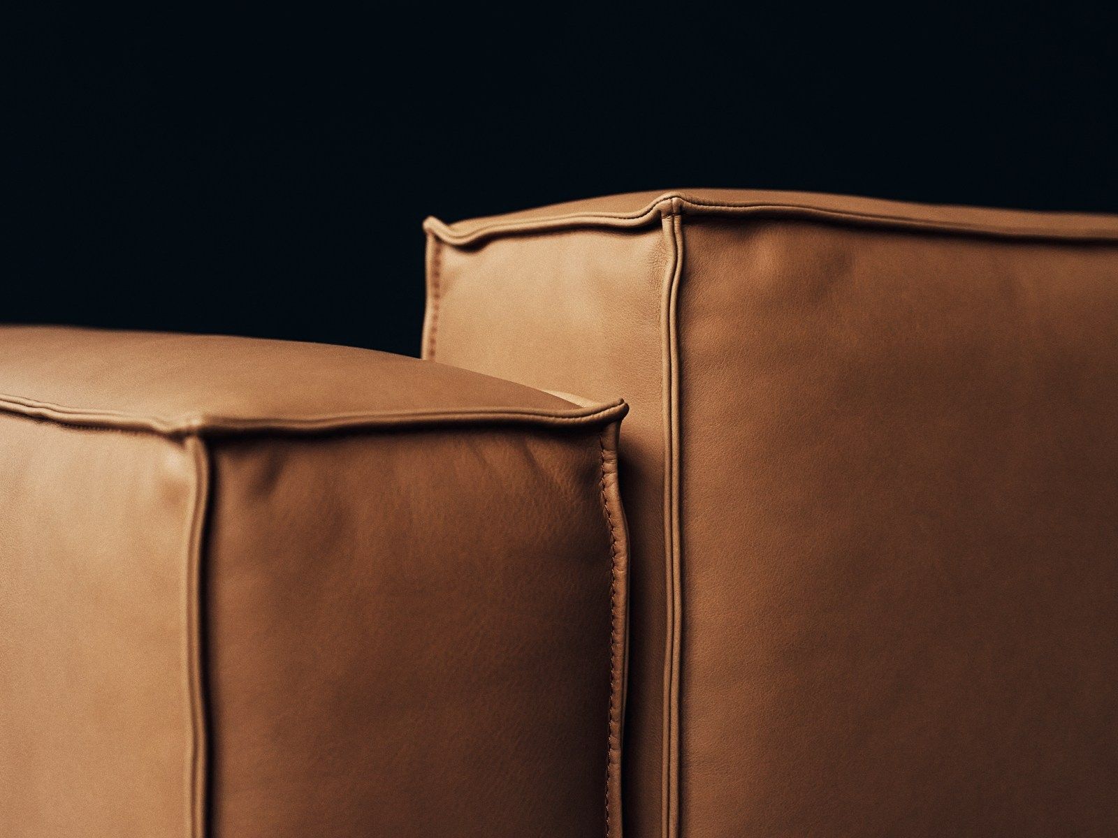 3-местный кожаный диван de Sede DS-21 ARCH-00050202 - Вид №3