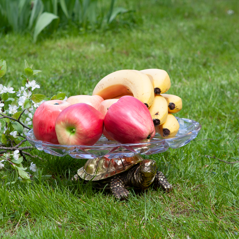 52075 Фруктовница-конфетница Черепаха 6 Бронза BOGACHO 4627155818456 - Вид №1