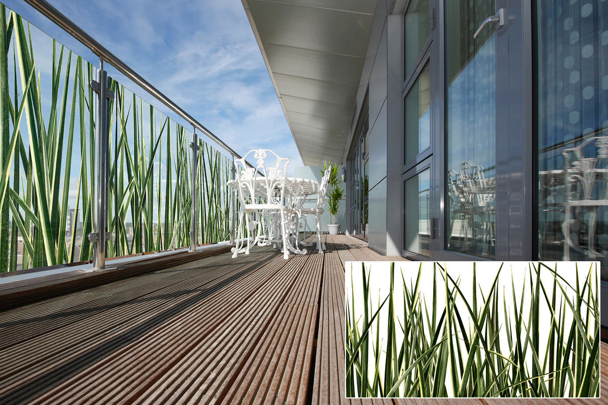 FSRT377 Стекло Vivispectra Zoom с прослойкой в ​​виде гвоздик Forms-surfaces  - Вид №22