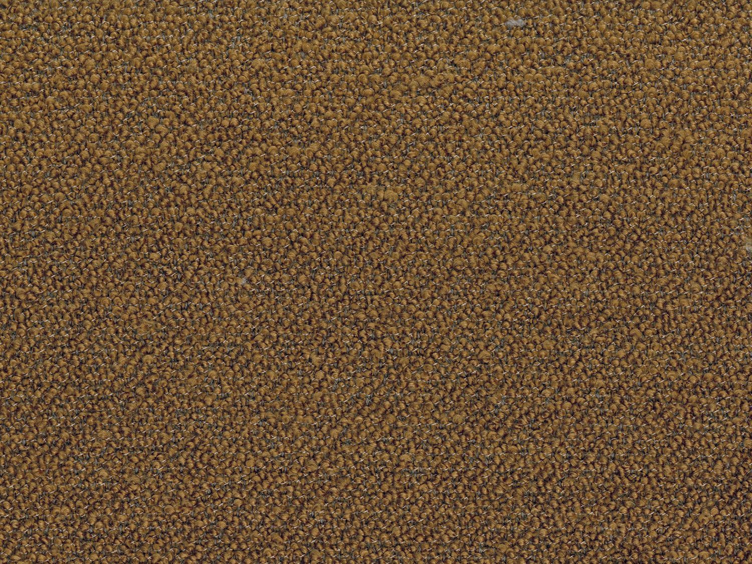 Однотонная ткань букле Casamance Abruzzes ARCH-00135568