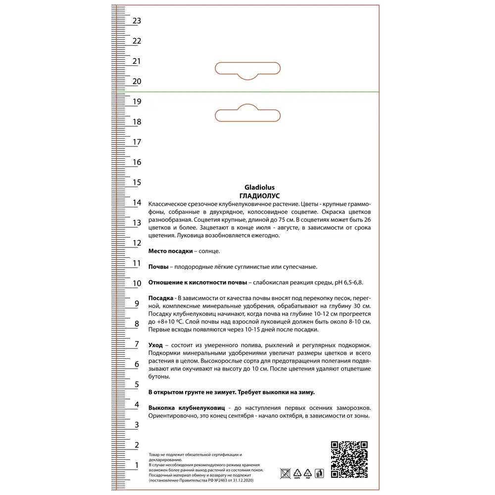 Гладиолус Морская раковина 3 шт. 89452366 STLM-2025574 ПОИСК  - Вид №1