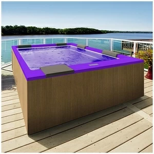 Бассейн Gruppo Treesse Muse Plus-V212I-PL-F прямоугольный встроенный фиолетовый