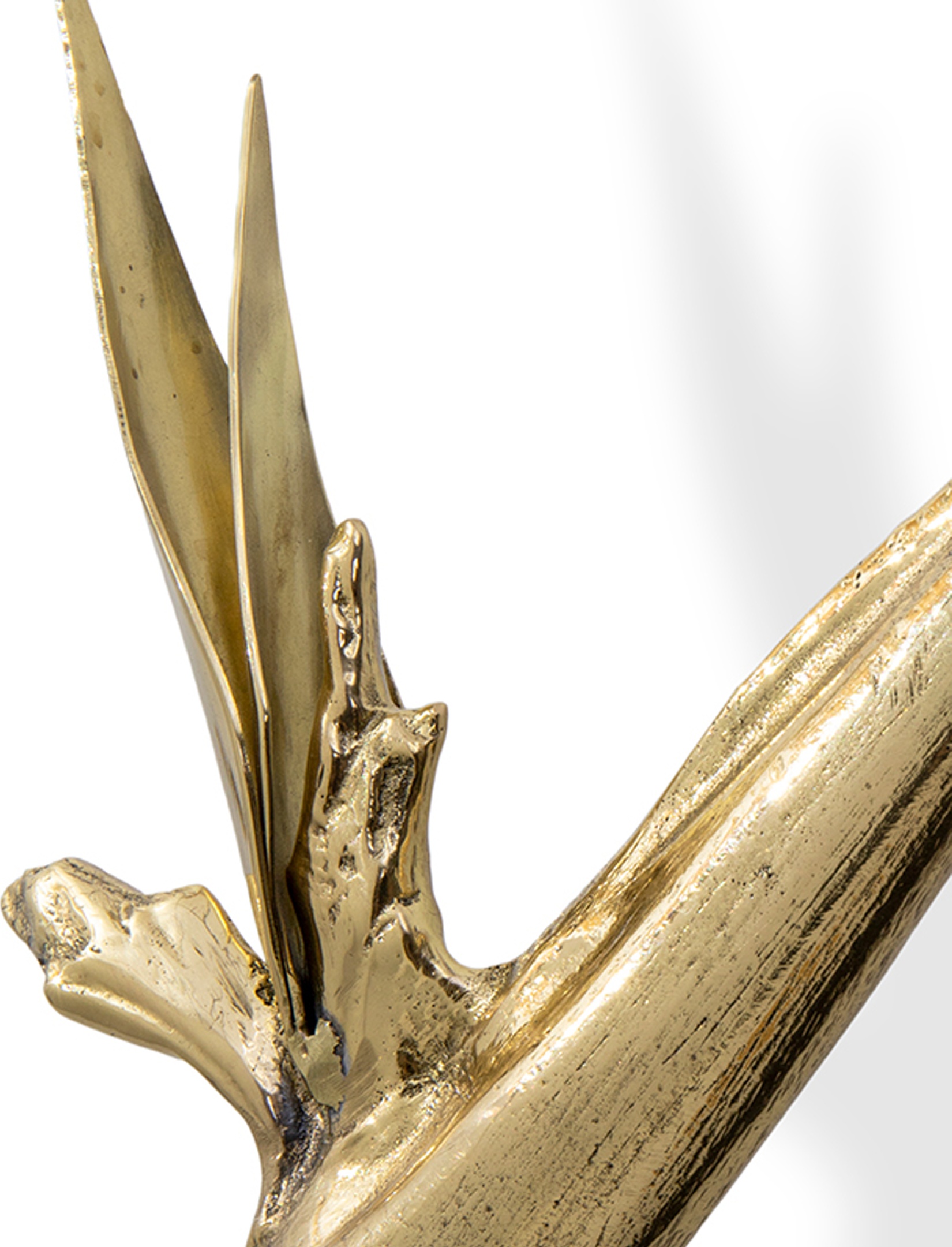 EA1061 Strelitzia PULLCAST Earth Collection  - Вид №2