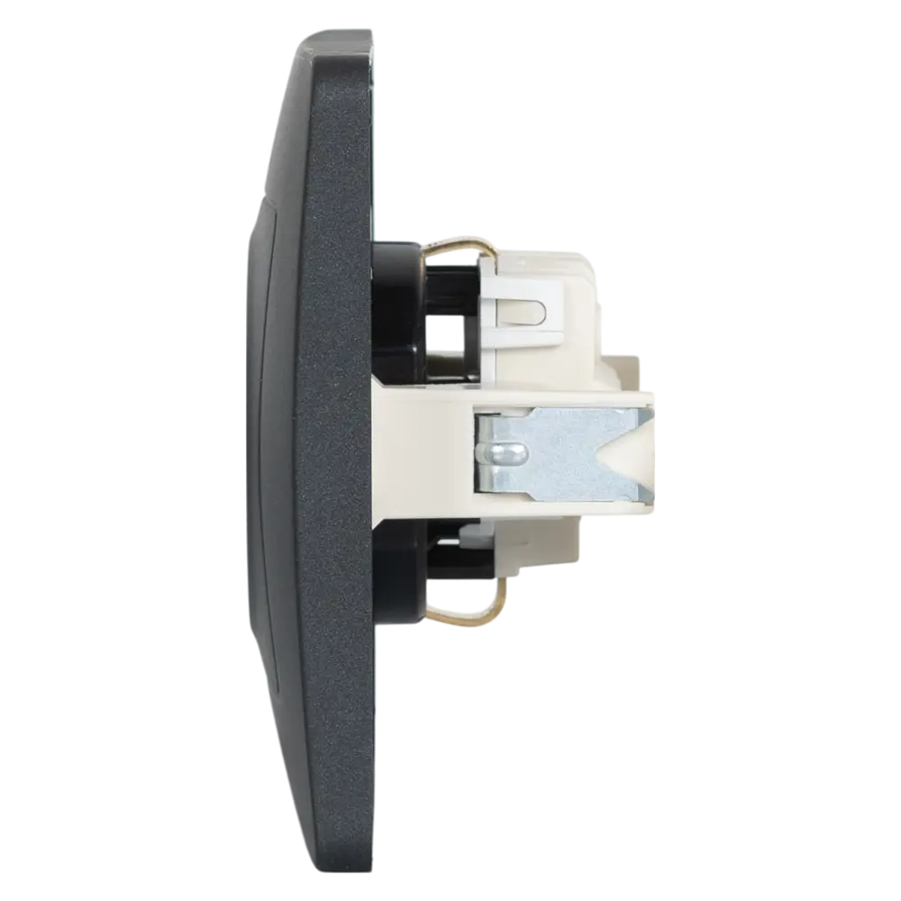 Розетка встраиваемая Systeme Electric Blanca с заземлением цвет антрацит STLM-2061628 - Вид №3