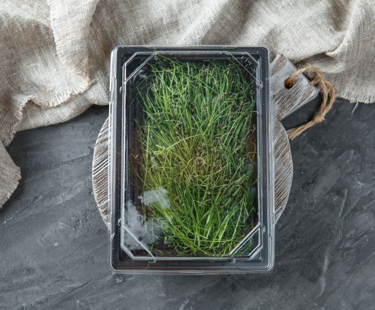 4758 Микрозелень лук "Порей" Вкусляндия  - Вид №3