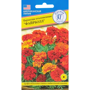 Семена Бархатцы отклоненные «Файрболл»