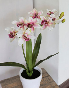2315 776 a2 Пластиковая орхидея цимбидиум, горшечная, 70 см, бежево-коричневая H-andreas