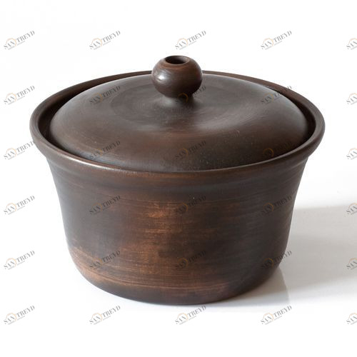 Утятница Santreyd 2520