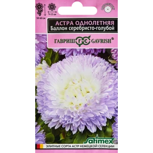 Santreyd Астра Баллон серебристо-голубая - махровые шаровидные соцветия 89349114