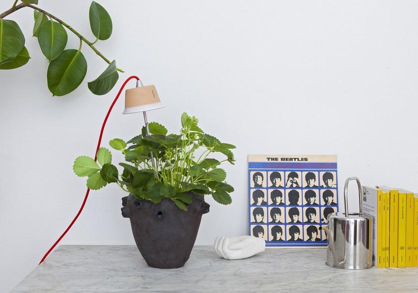 Linea Light Group Подвесной светильник / настольная лампа Chlorophyll sun-id-1445967 - Вид №2