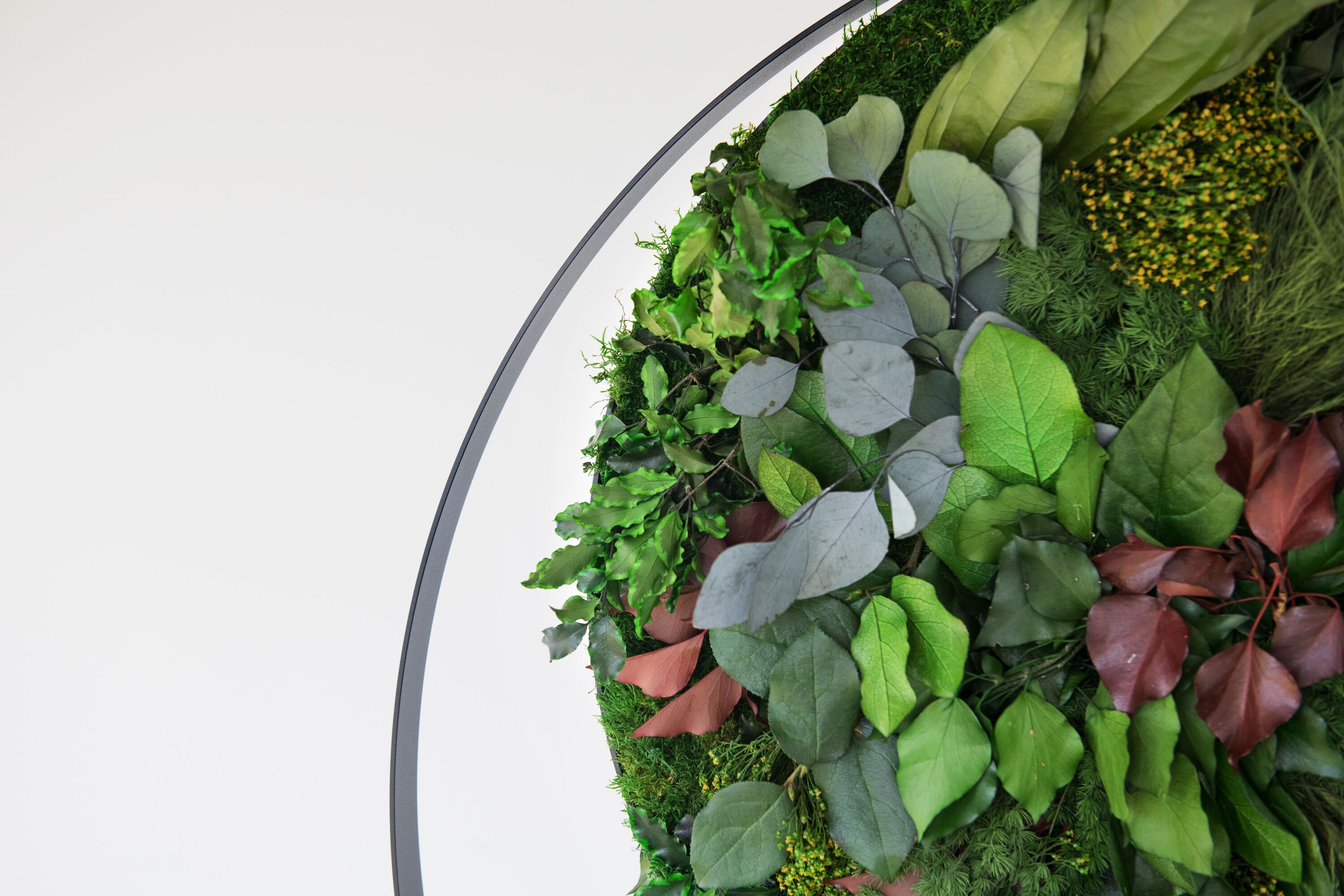 Подвесная акустическая панель GREENMOOD RINGS ARCH-00006794 - Вид №8