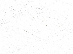 Dall'Agnese Журнальный столик из дуба низкий