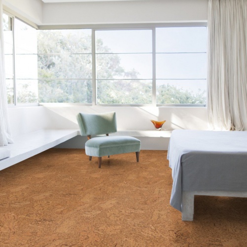 Пробка Wicanders Eco Cork Accent (Гладкая) 600х300 мм DN17002 - Вид №21