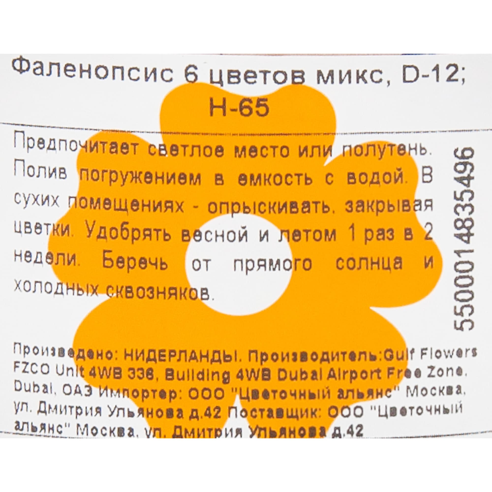 84450713 Орхидея Фаленопсис 6 цветов микс ø12 h65 см Santreyd  - Вид №2