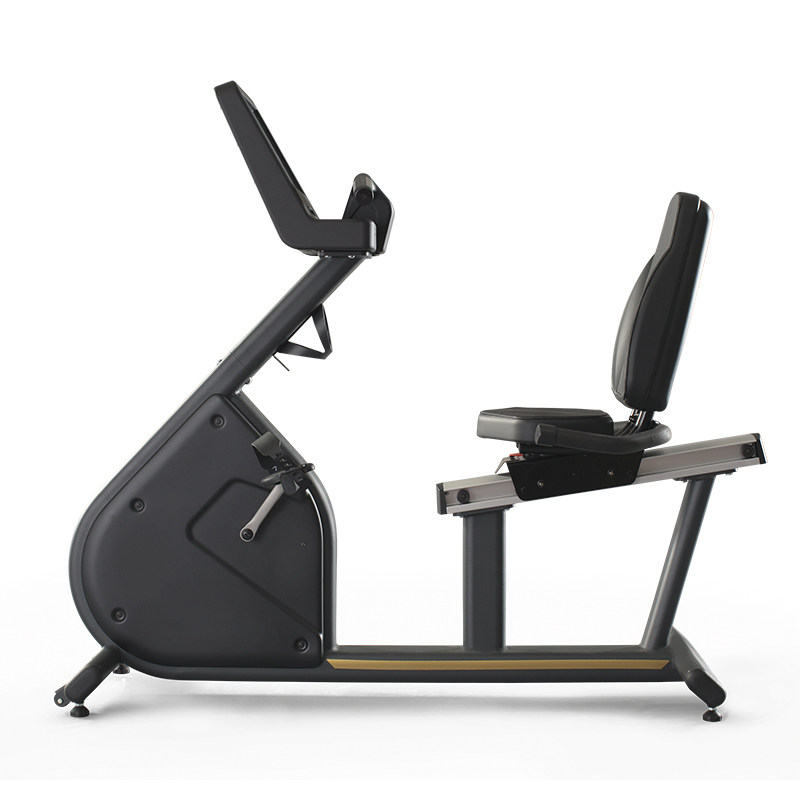1FXT002 Велотренажер panatta horizontal bike fenix 1fxt002 с touch-дисплеем Panatta 