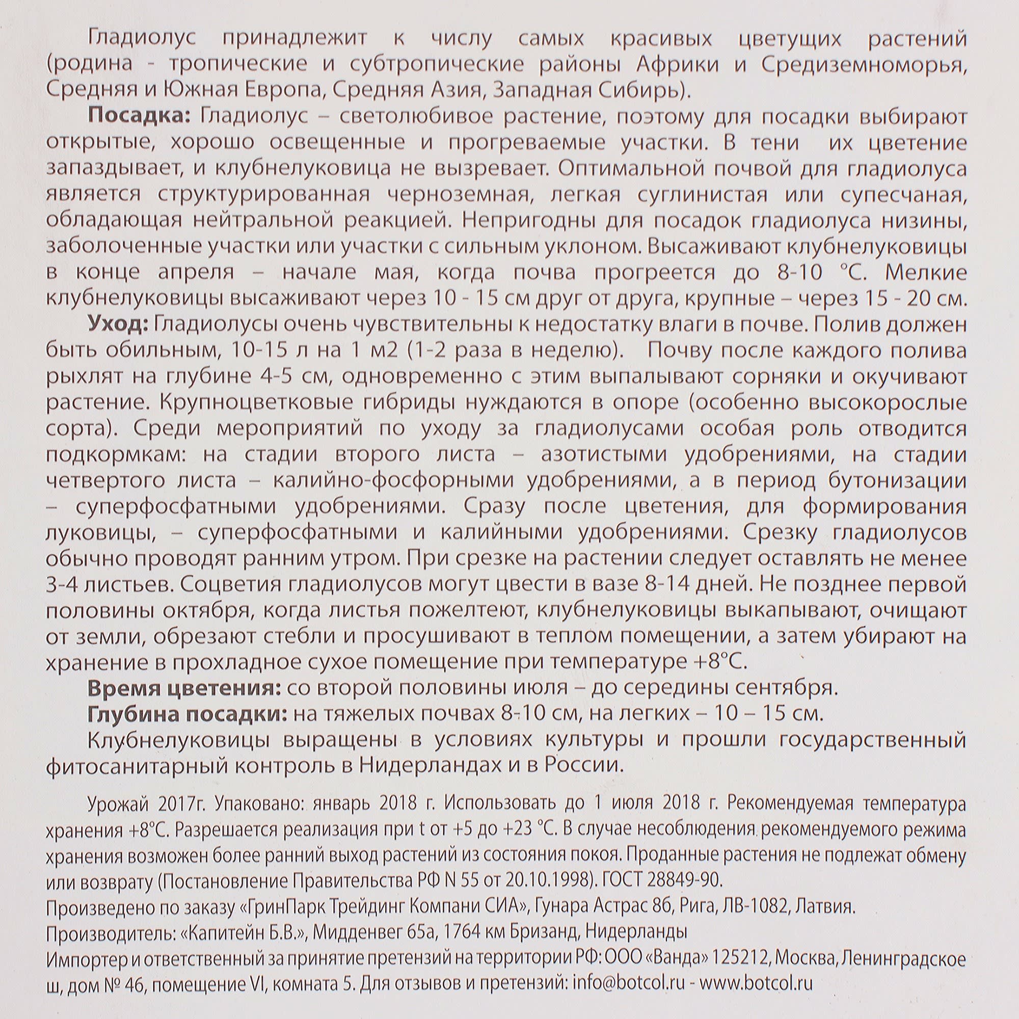 81945870 Гладиолус крупноцветковый «Харизма» Santreyd  - Вид №2