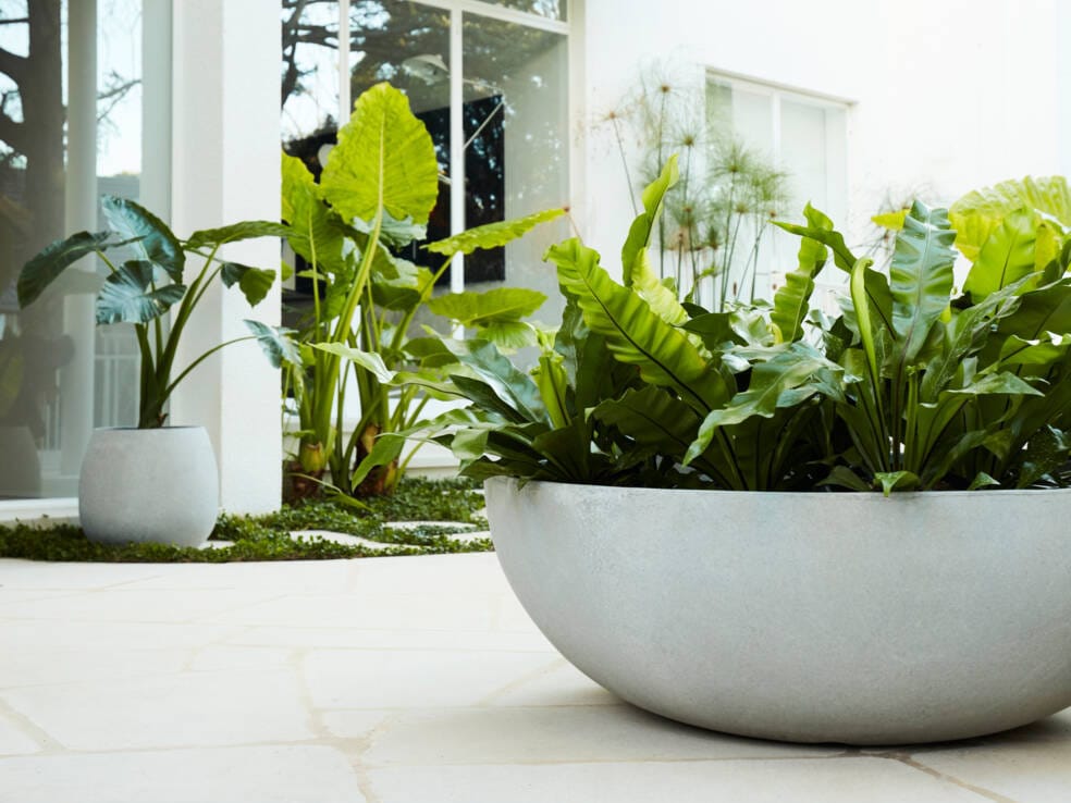 Бетонный низкий плантатор для общественных мест SWISSPEARL Softline ARCH-00034446 - Вид №2