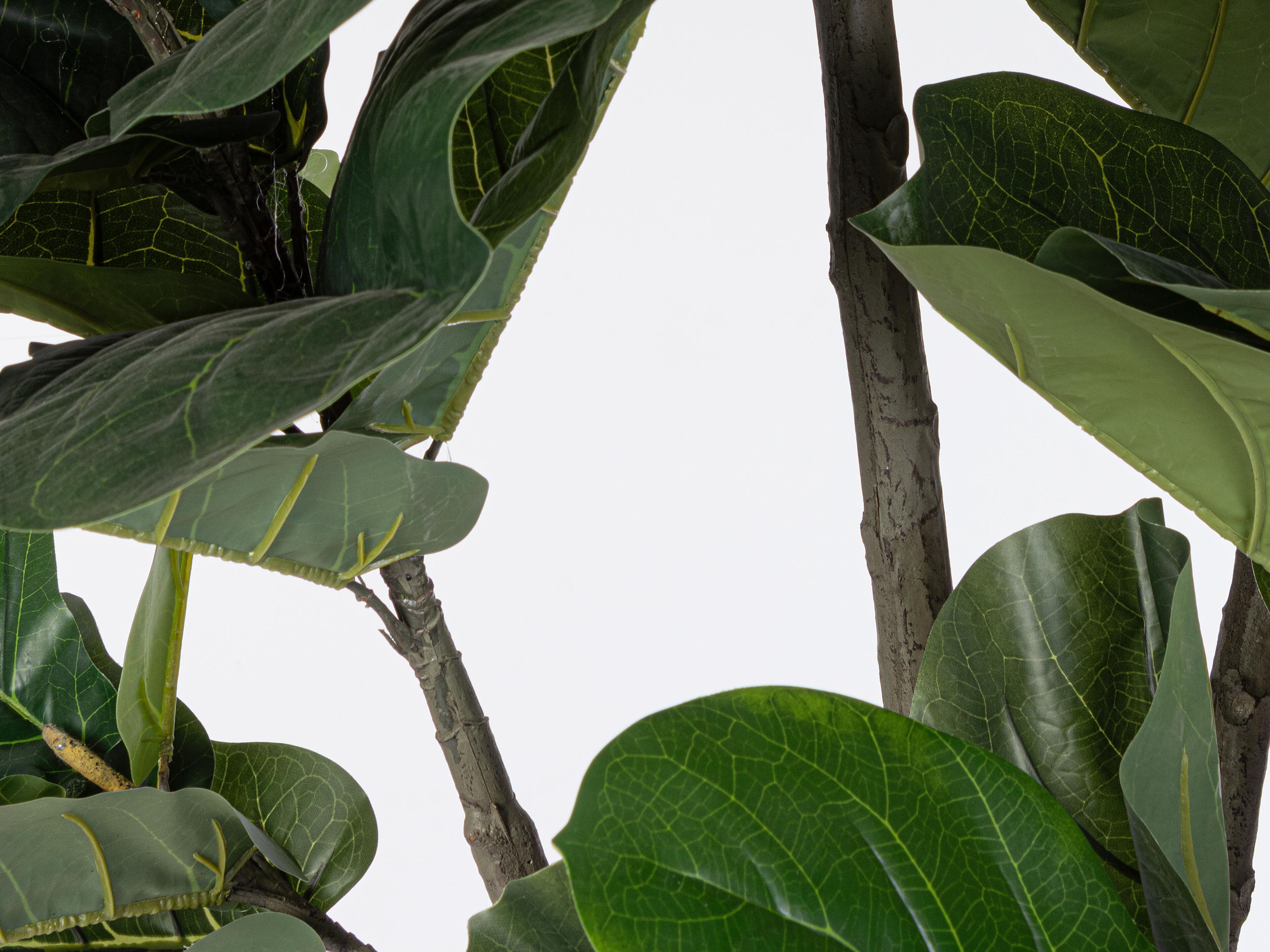 Искусственное растение BIZZOTTO FICUS LYRATA H230 ARCH-00134143 - Вид №1