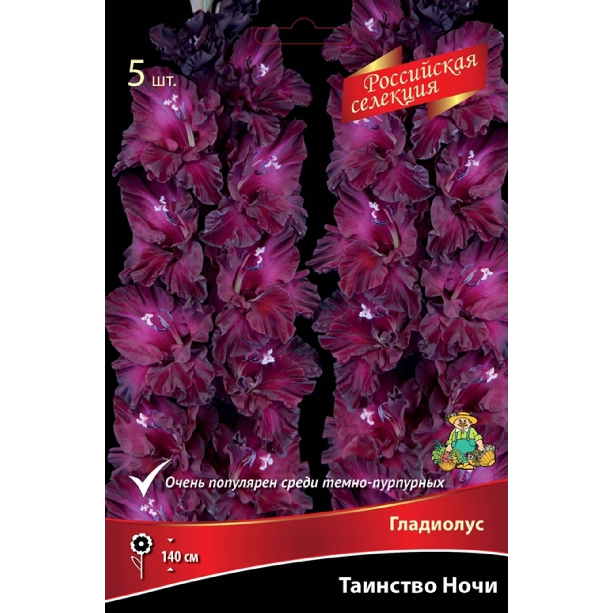 83597029 Гладиолус Таинство ночи луковица 12 Santreyd 