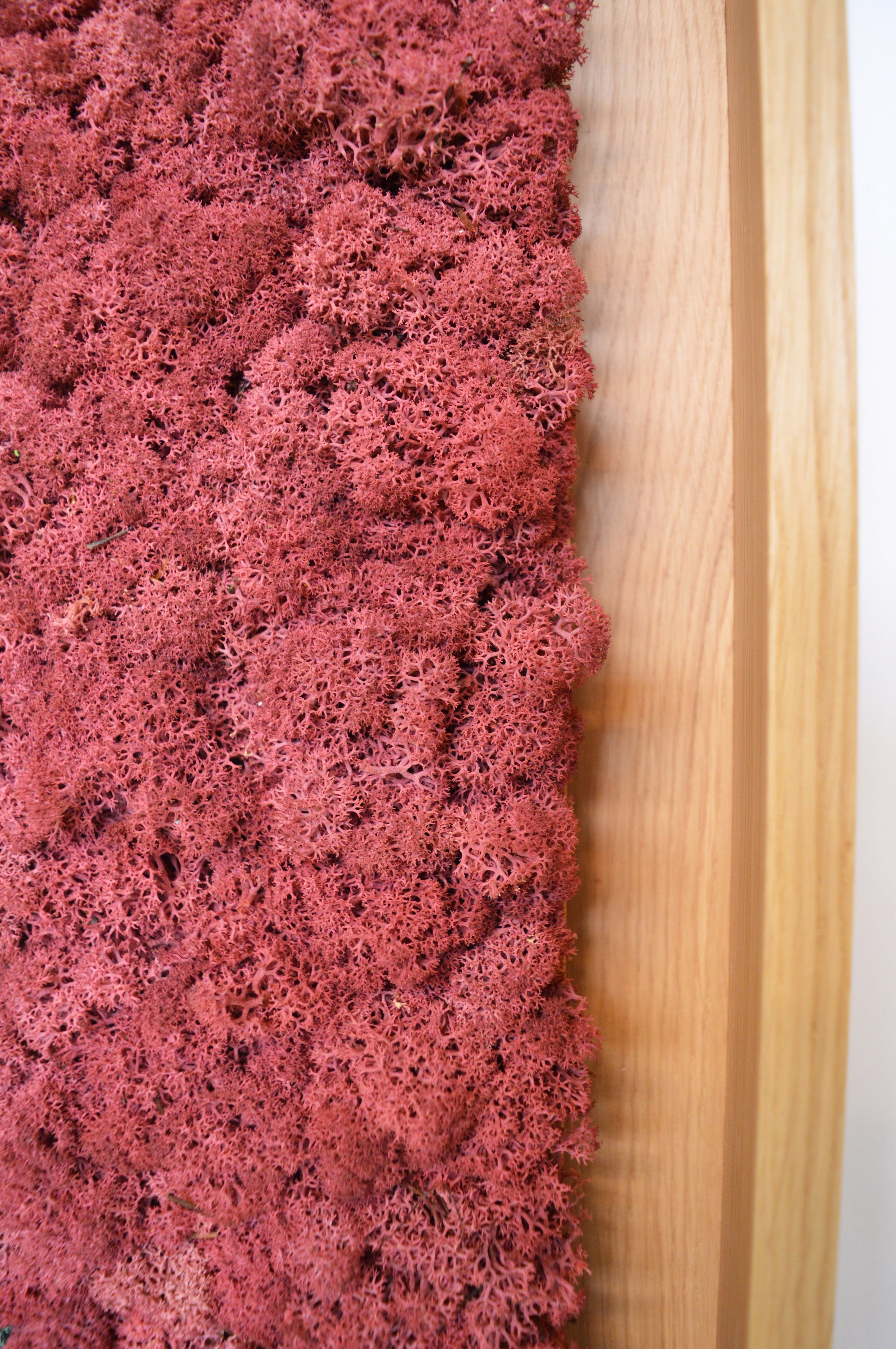 Акустическая панель из мха GREENMOOD FRAMED SYNERGY ARCH-00061647 - Вид №17