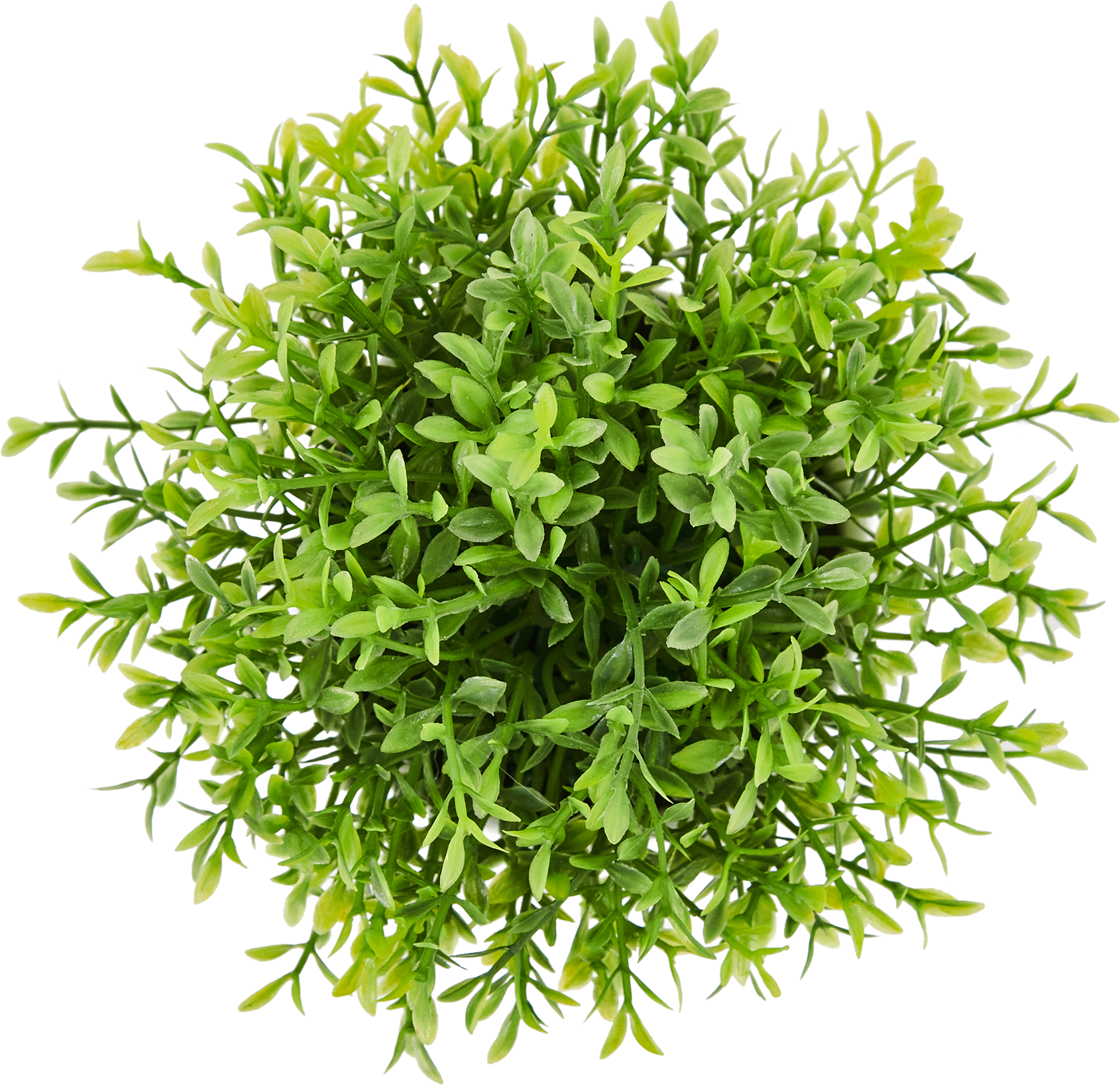 85826004 Искусственное растение Самшит h13 см STLM-0065526 Santreyd  - Вид №1