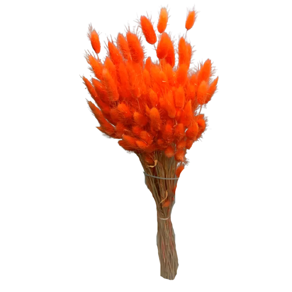 Букет из сухих цветов Лагурус микс 1 70 см Santreyd STLM-2132636 - Вид №9