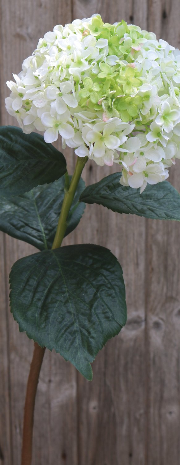 2271 708 a3 Гортензия искусственная, 60 см, бело-зеленая H-andreas  - Вид №1