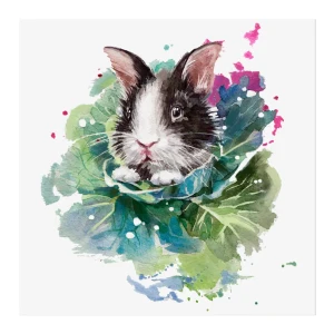 Канвас Кролик 30x30 см