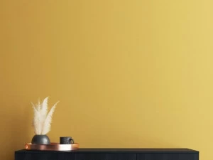 Novacolor Моющаяся краска на водной основе Matmotion N334