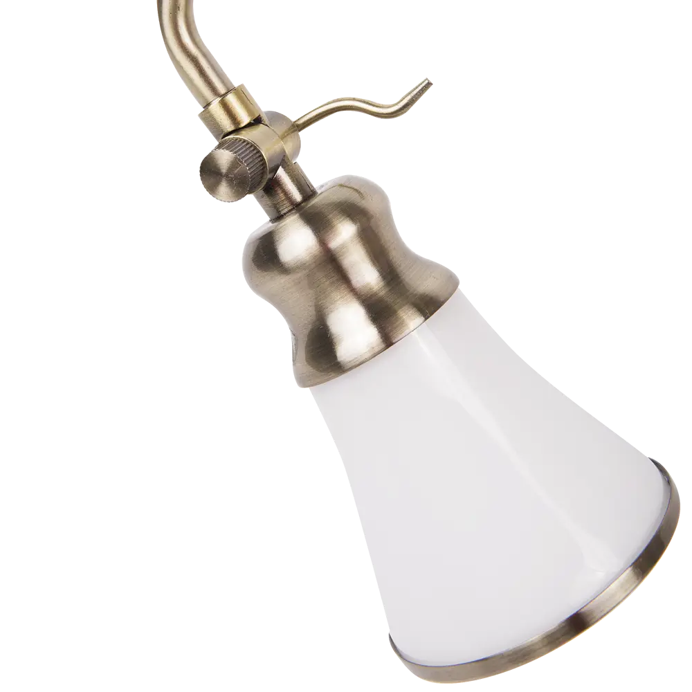 Спот поворотный Veno 4xE14x40 Вт металл цвет бронза Arte Lamp STLM-2102927 - Вид №3