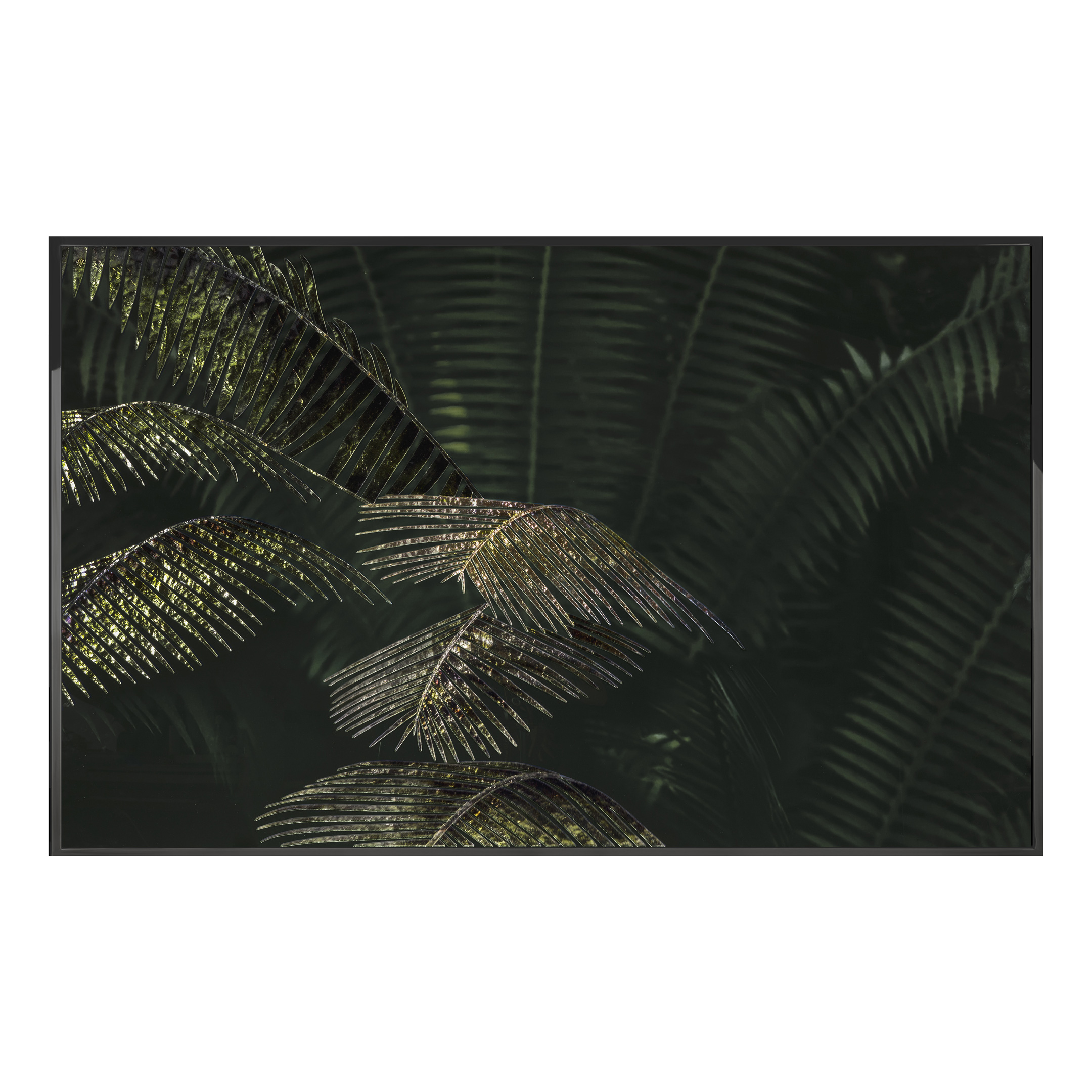 Kentia Произведение искусства Visionnaire  - Вид №1