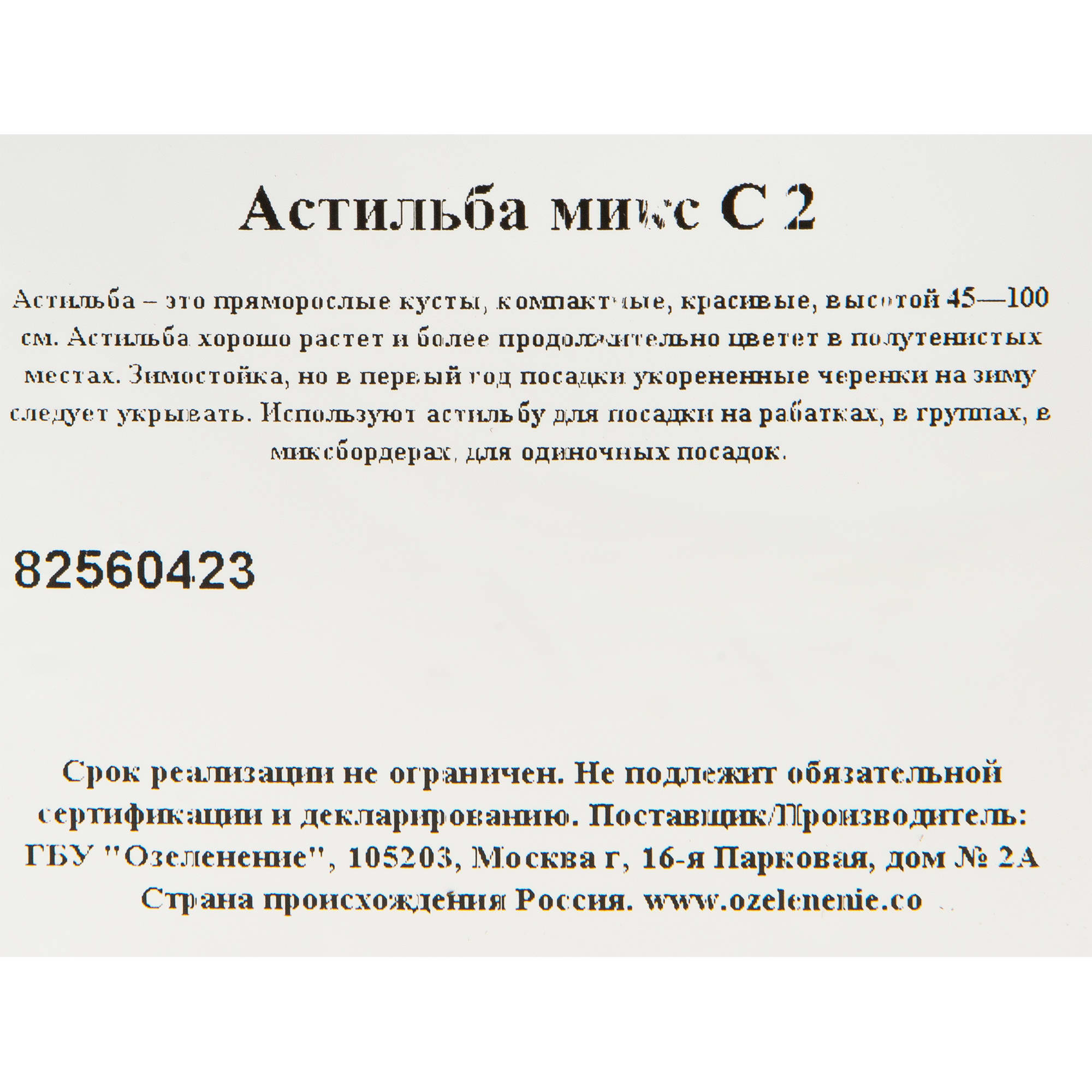 82560423 Астильба микс С2 Santreyd  - Вид №1