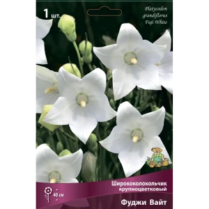 Ширококолокольчик крупноцветковый Фуджи Вайт 86410493 STLM-2211631
