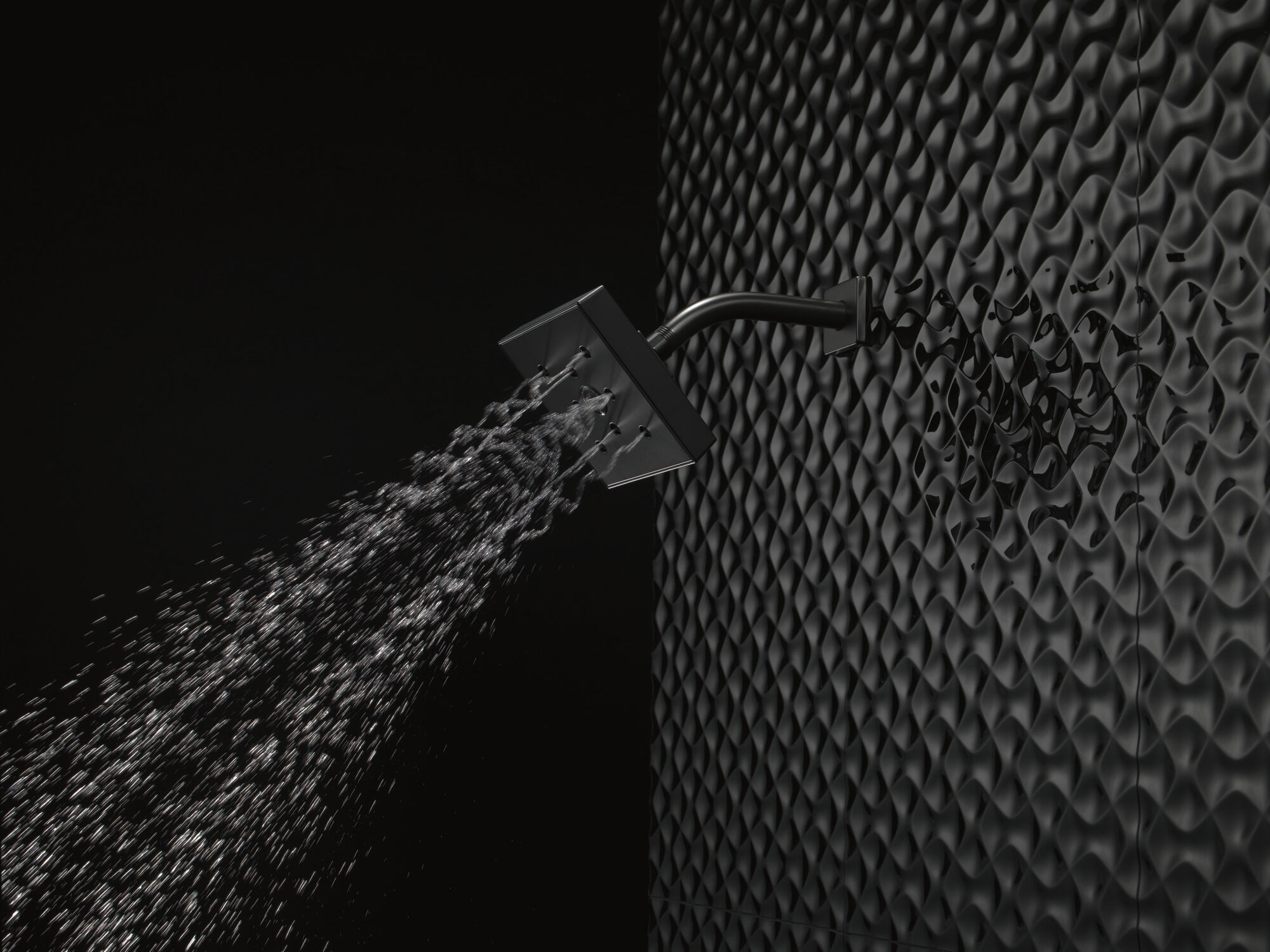 RP70171BL H2Okinetic® Душевая лейка Raincan с одинарной настройкой Delta Faucet Universal Showering Матовый черный  - Вид №1