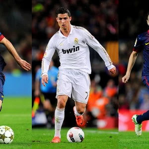 C1-096 Фотообои DIVINO Collection C 2.38х м