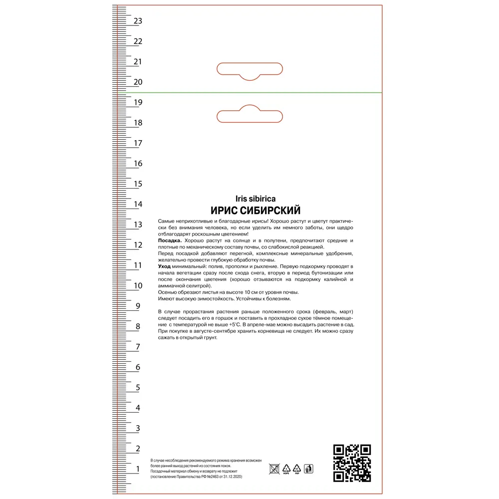 Ирис сибирский Флайинг Фиддлз ПОИСК STLM-2092710 - Вид №1