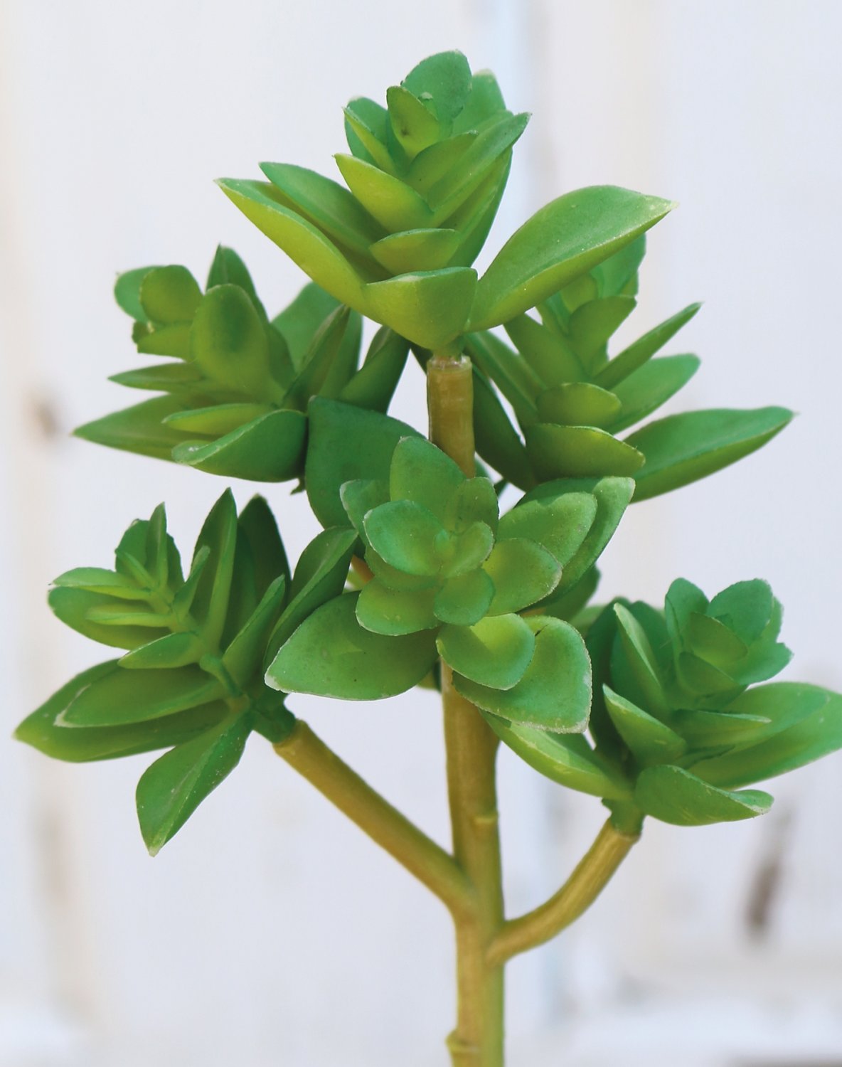 6034 888 a3 Сочные искусственные растения на палочке, 17 см, темно-зеленые H-andreas 