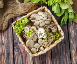 2848 Грибы вешенки фасованные Вкусляндия