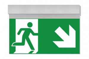 DST-3666 Ikus 320-t Daisalux Светильники и спец. Серебристо-Серый