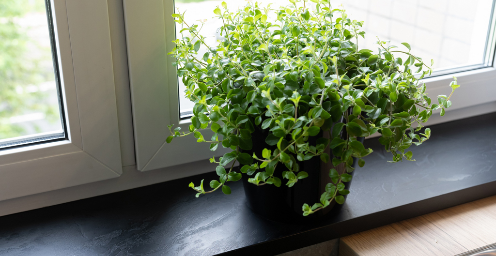 Столешницы для кухни - Тенерифе LIGRON LIST373 1126 - Вид №7