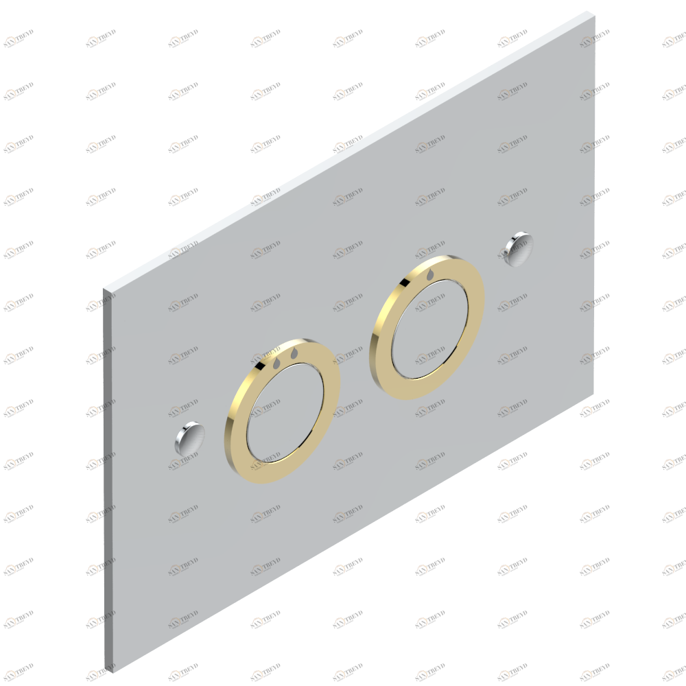 G00-219TC WC Flush Plate compatible with TECE frame (contemporary model) Thg-paris прочие артикулы THG Хром/золото G00-219TC CAT.A