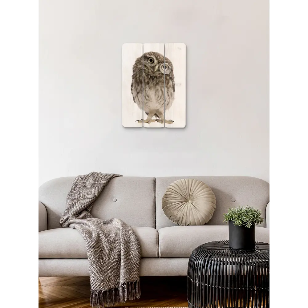 Картина на МДФ Сова 30x40 см POSTERMARKET STLM-2068642 - Вид №5
