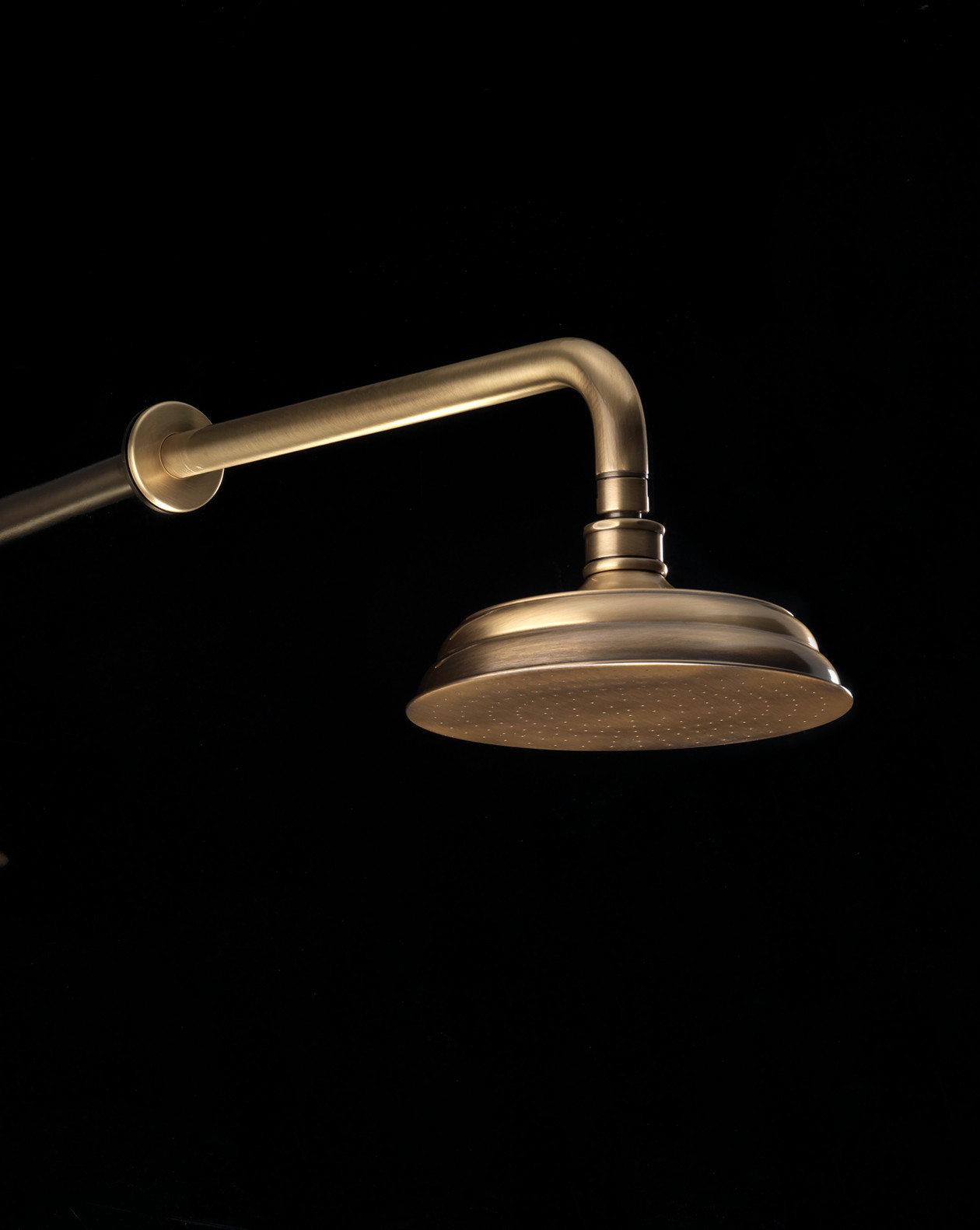 EXCRY140 Душевая головка и кронштейн Royal Devon&Devon  - Вид №1